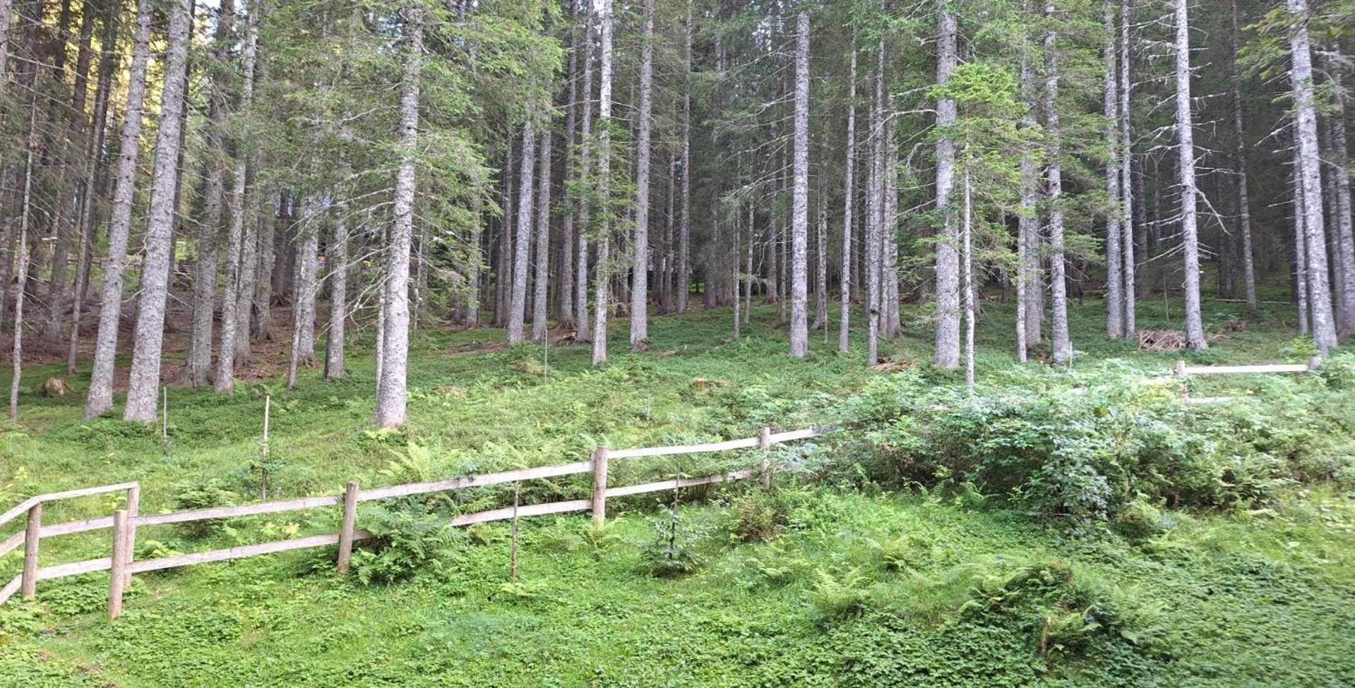 Apartma Anja Zgornje Gorje 外观 照片